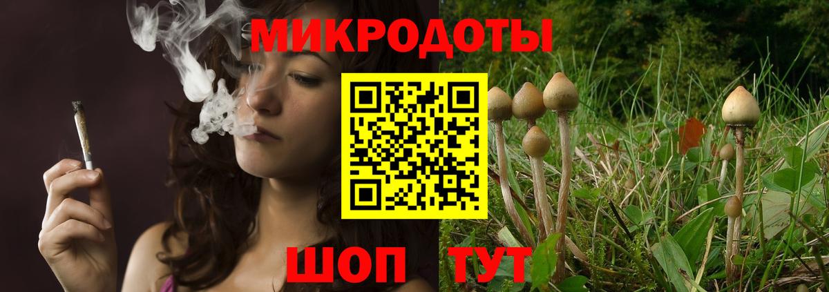 Псилоцибиновые грибы мухоморы Троицк